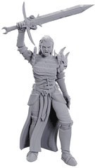 D&D Unpainted Minis (Wave 25) - Blackguard